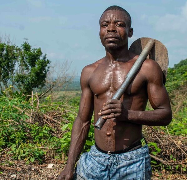 digital growth tools available