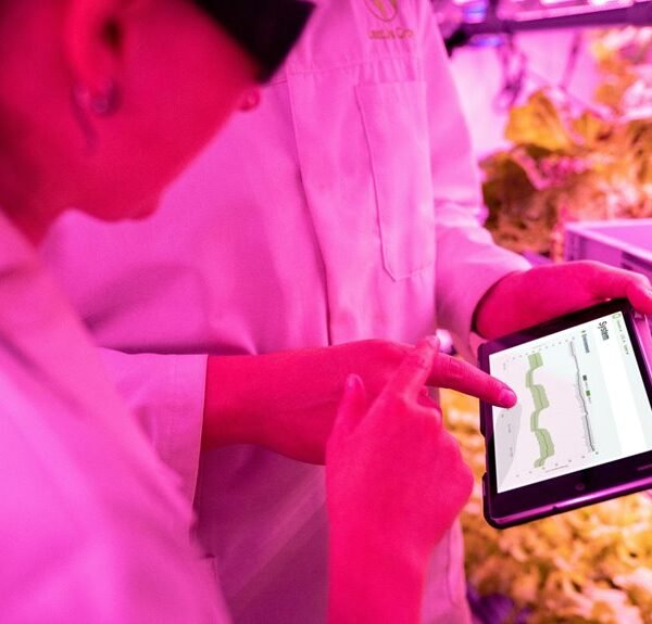 enhance development with technology