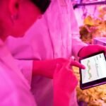 optimize growth with technology